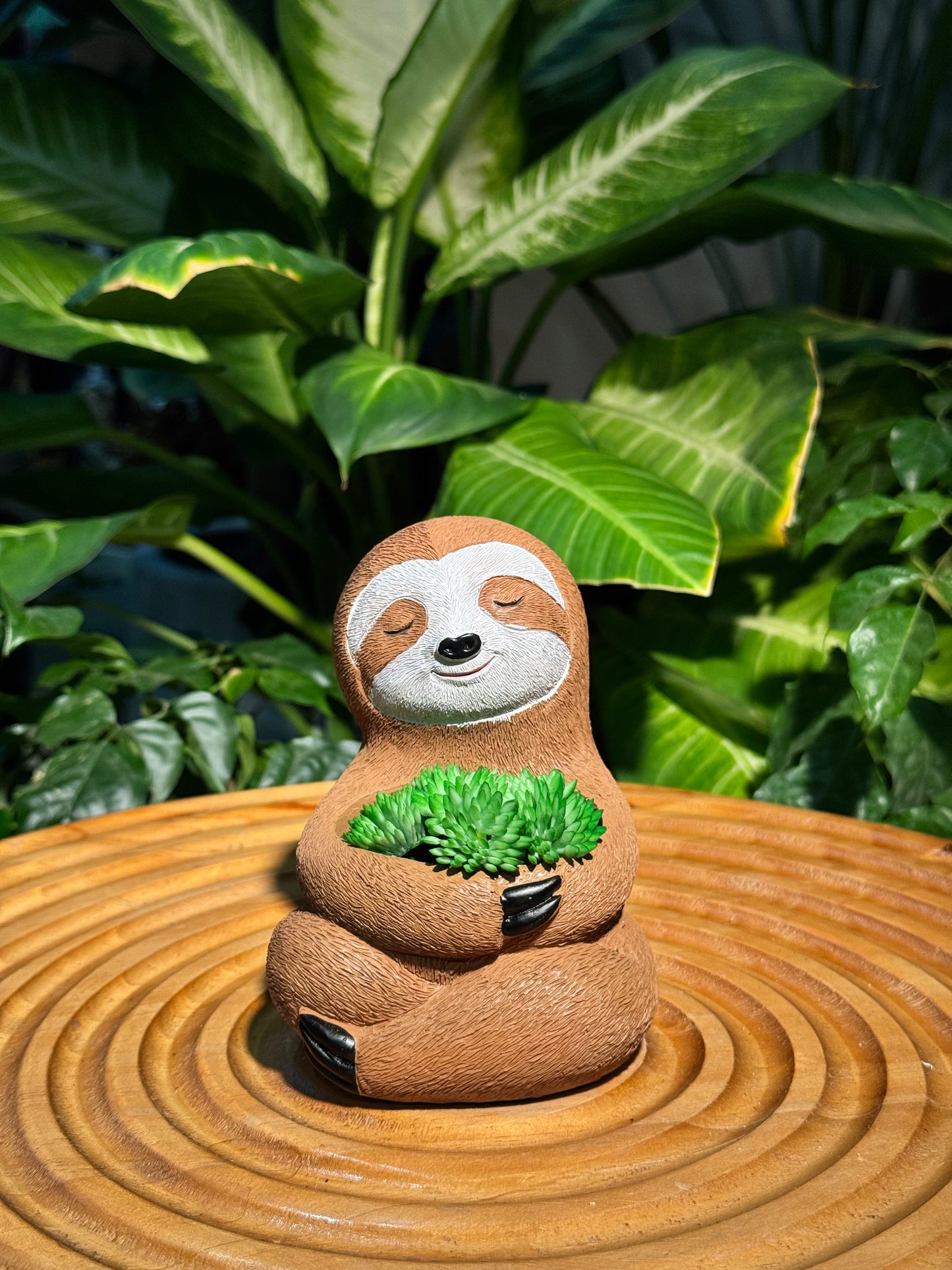 Brown with Whit Face Sloth Polymer Pot