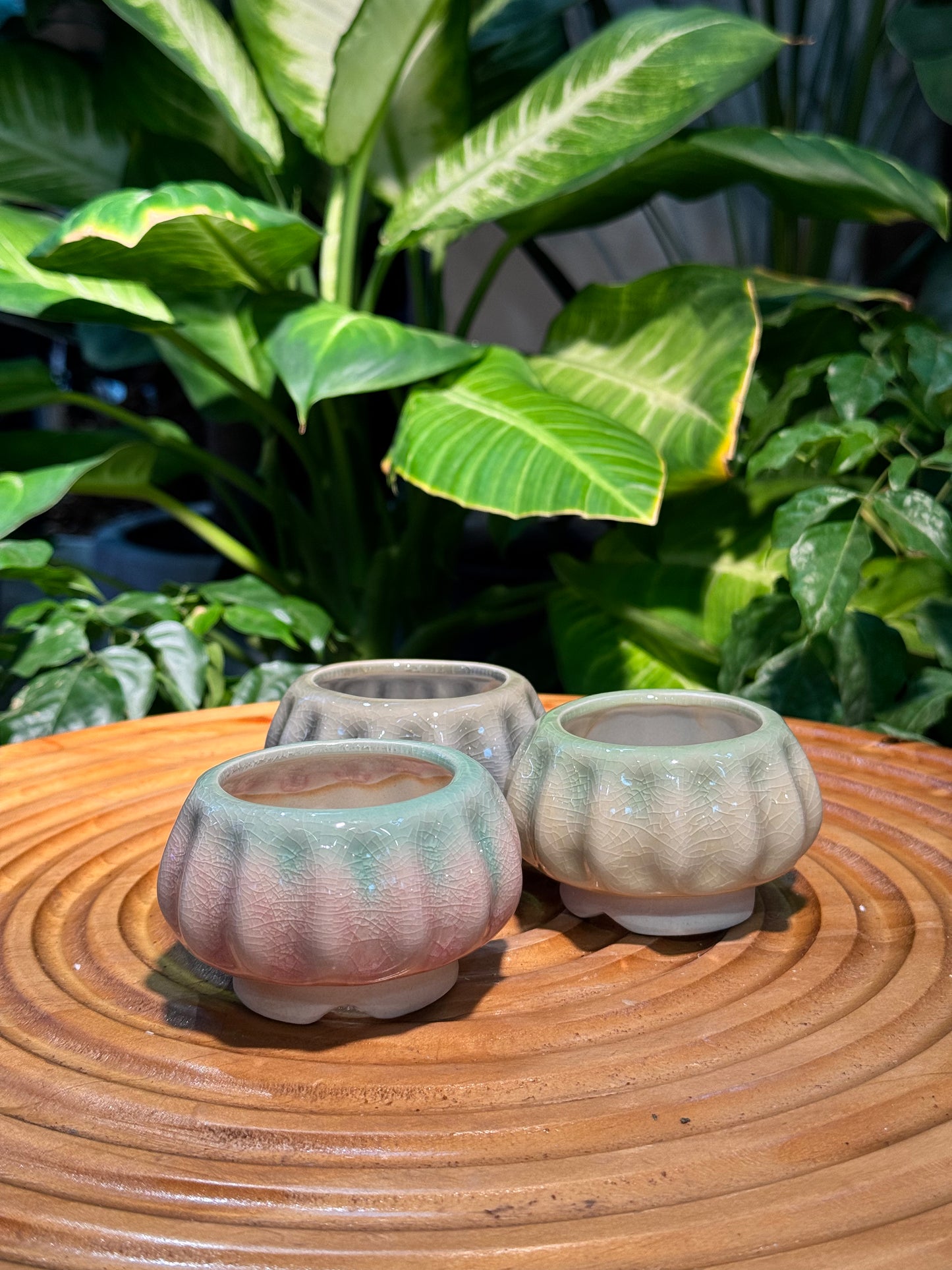 Pumpkin Base Ceramic Pot