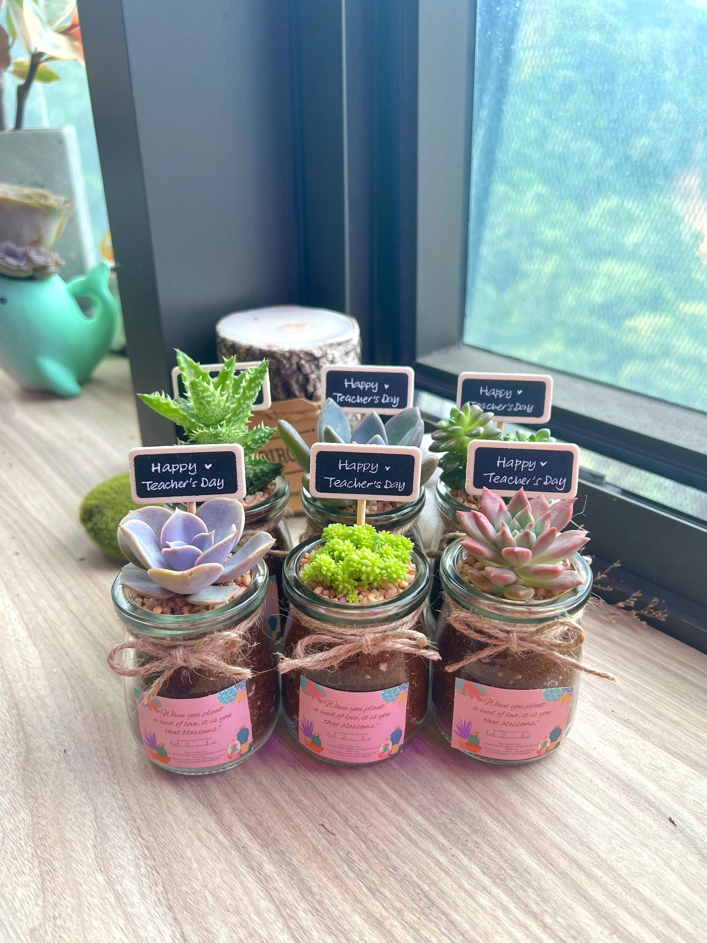 Succulent Workshop