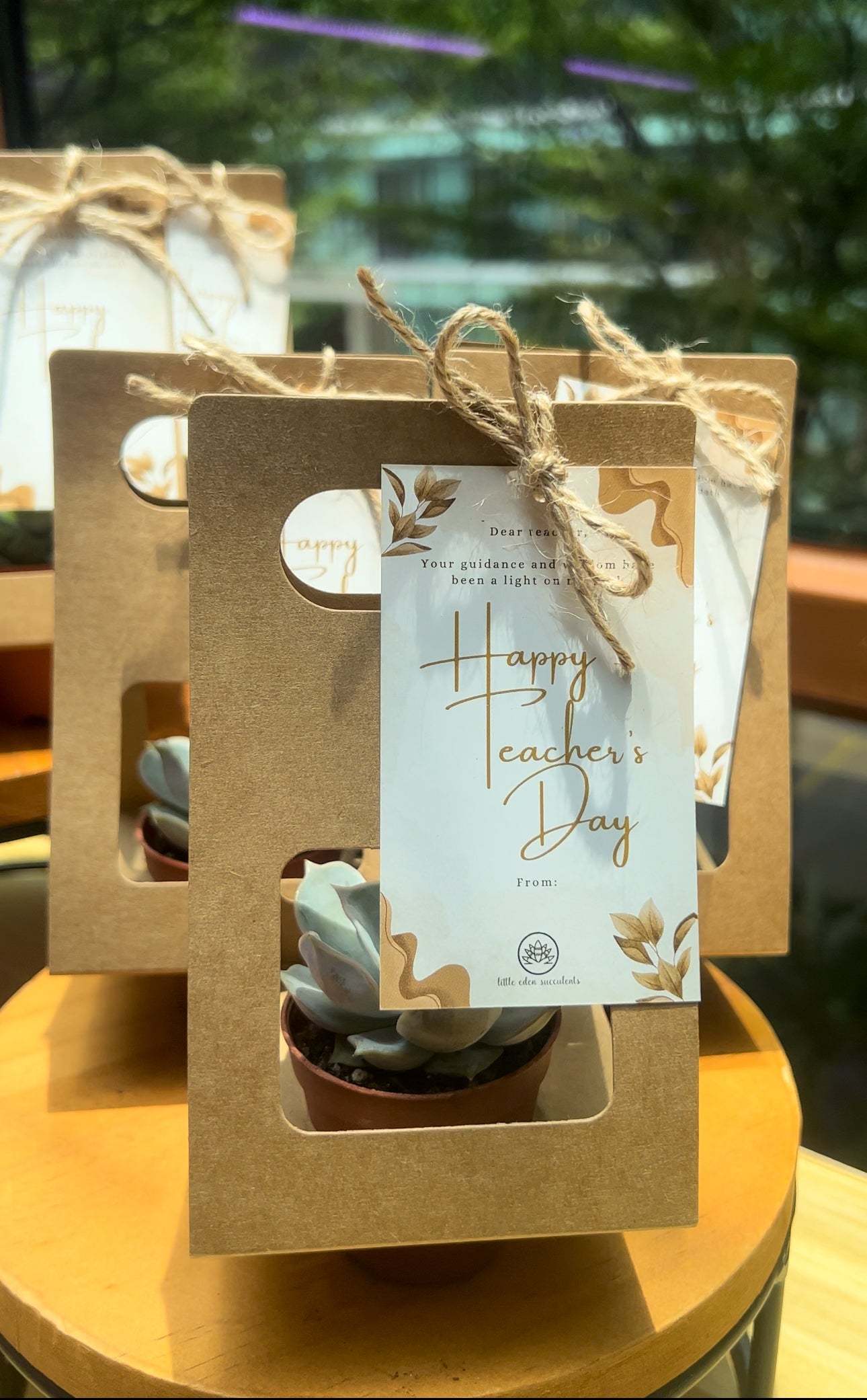 Teacher's Day Plant Gift