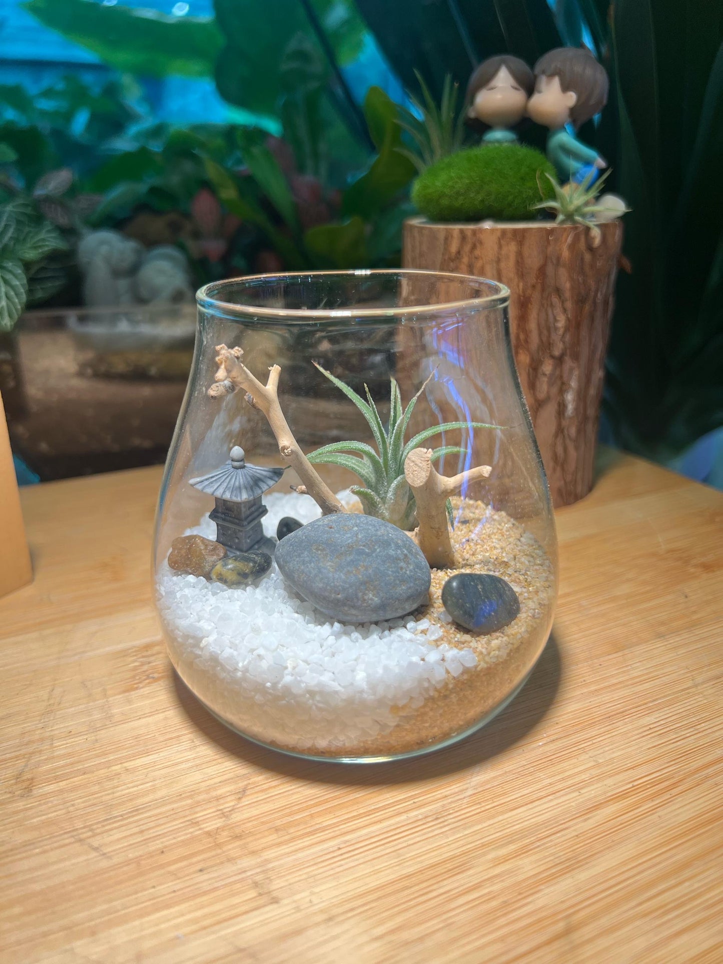 Airplant in Round Fuji Glass