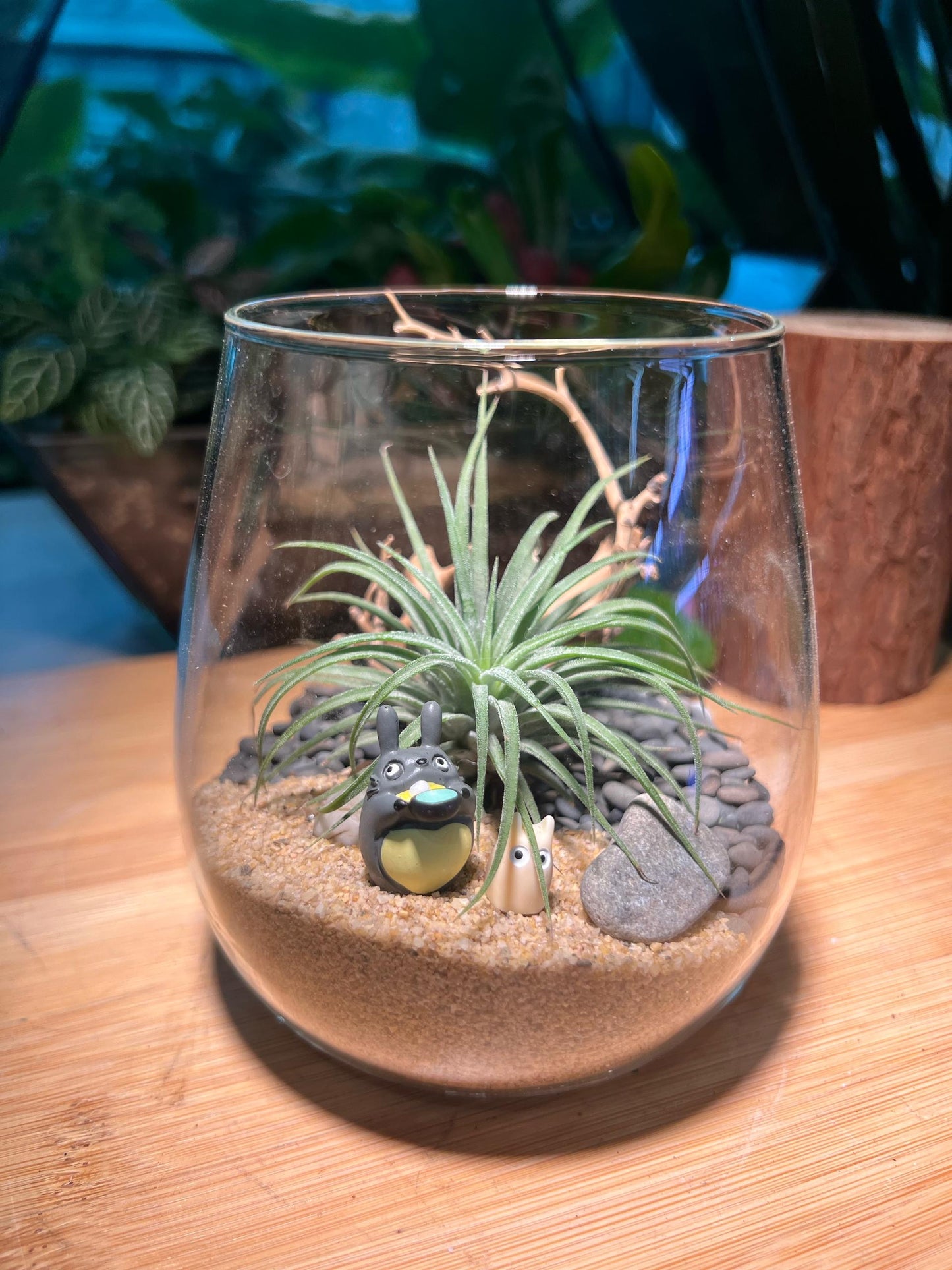 Airplant Terrarium with Totoro Figurine