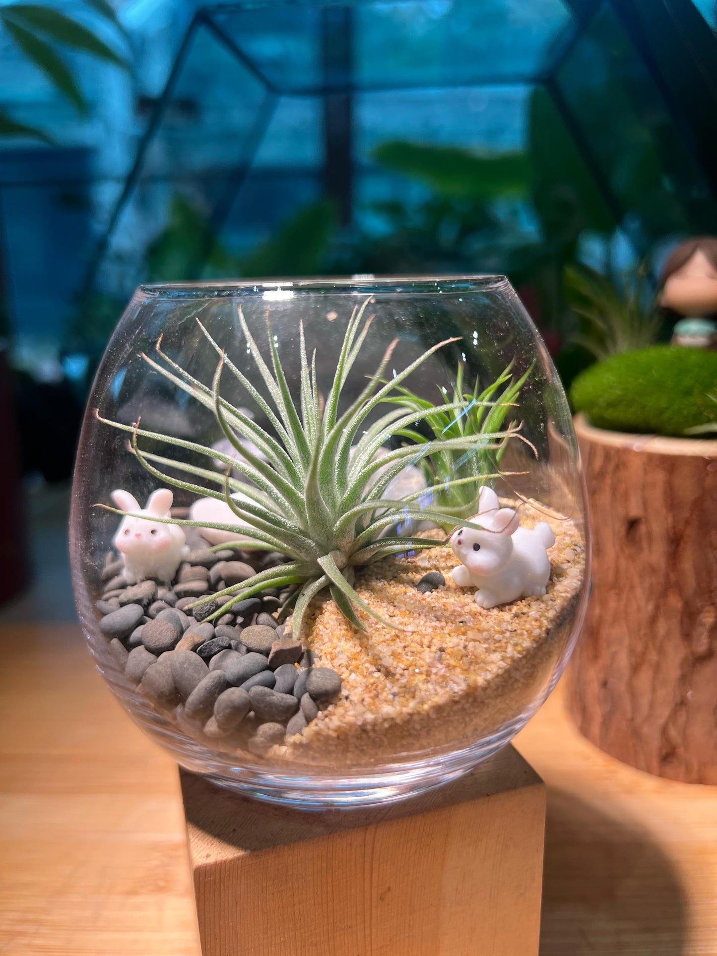 Airplant in Wine Glass with Rabbits