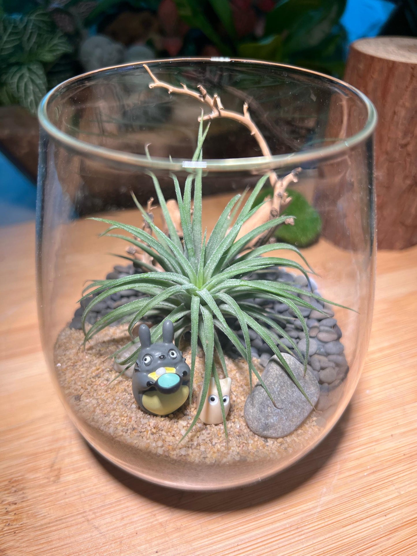 Airplant Terrarium with Totoro Figurine