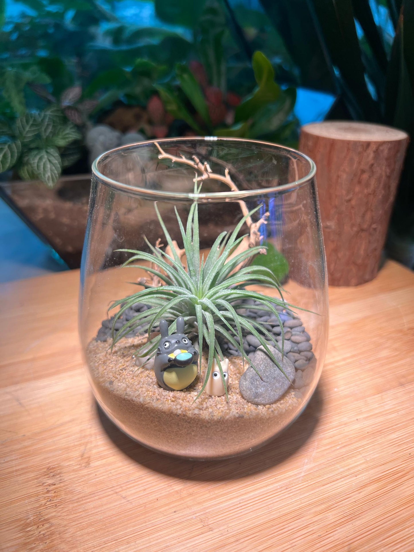 Airplant Terrarium with Totoro Figurine
