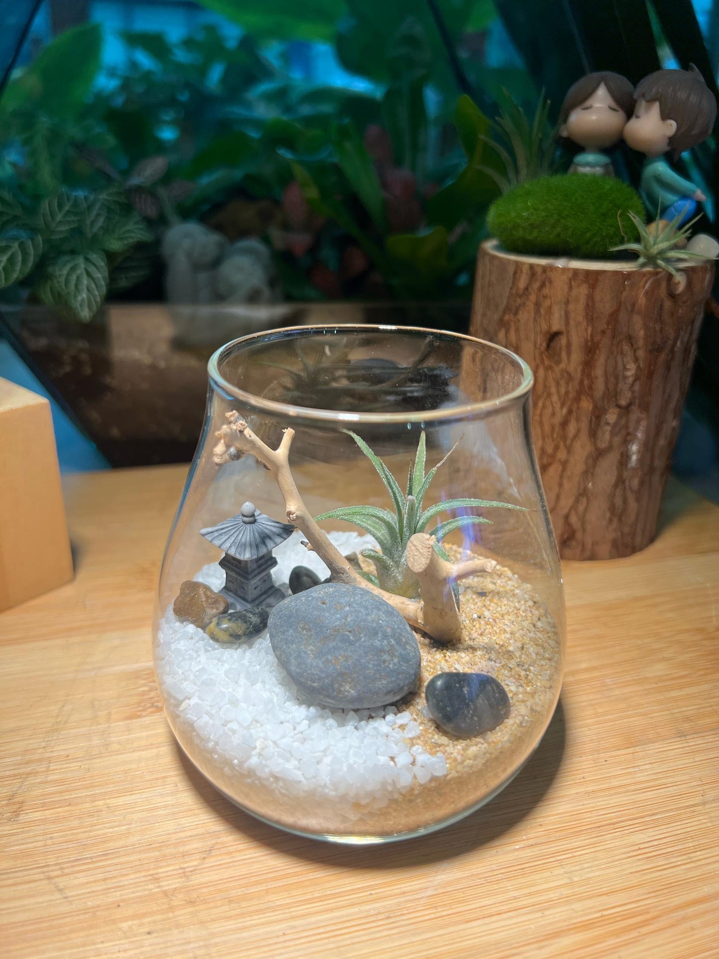 Airplant in Round Fuji Glass