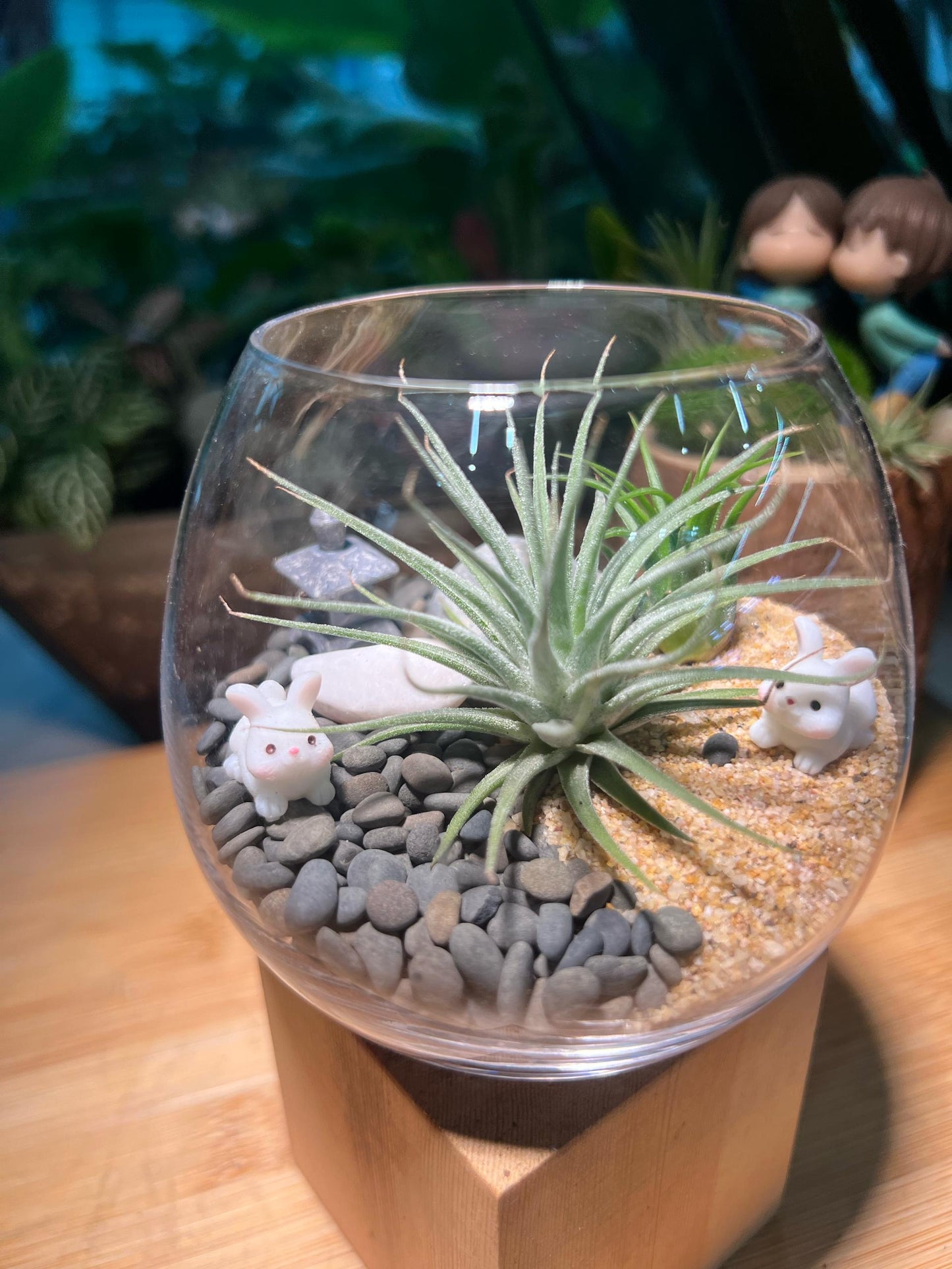 Airplant in Wine Glass with Rabbits