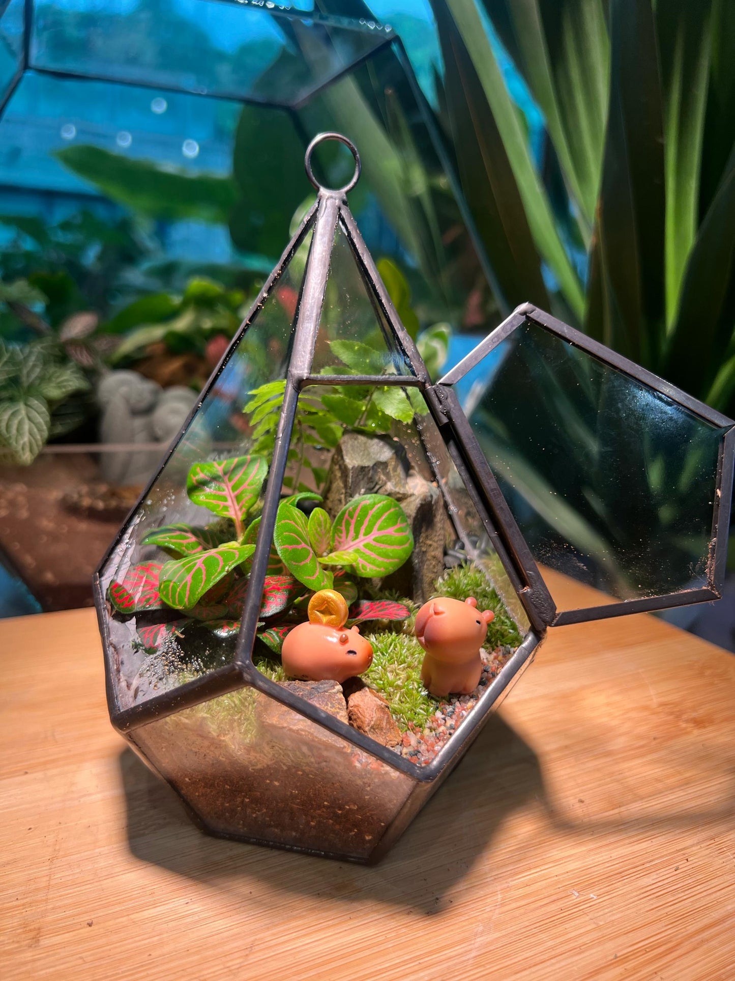 Fittonia & Fern with Moss Arrangement in Diamond Glass Terrarium (S)