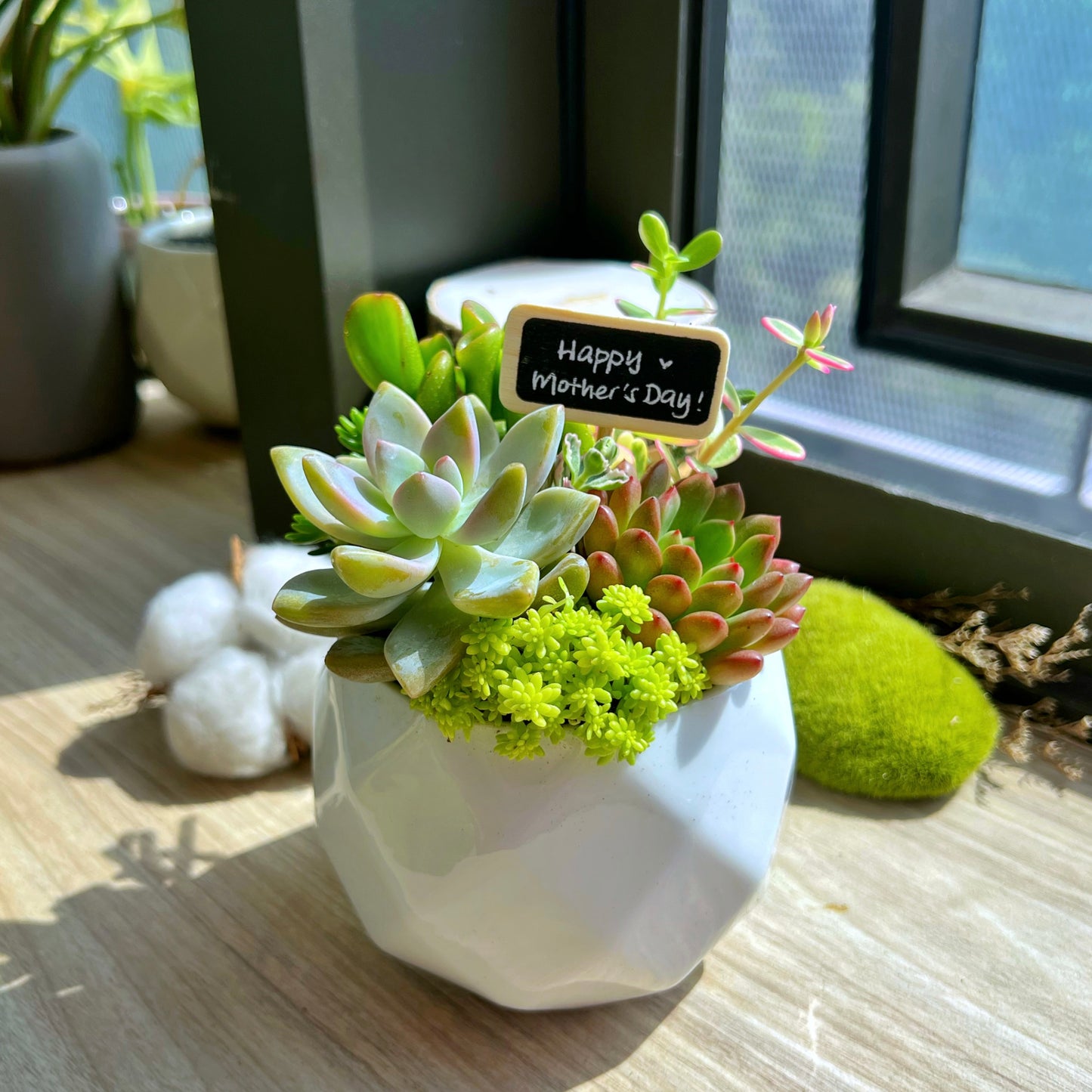 Mother’s Day Special