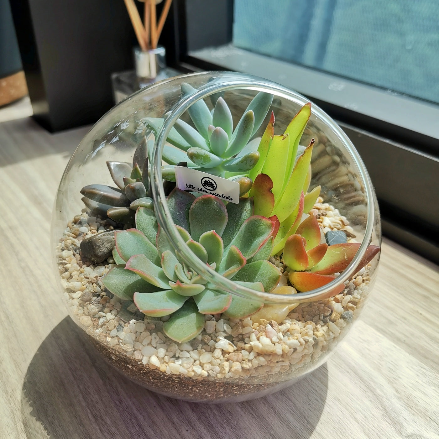 succulent workshop Weekend Terrarium Workshop (Beginner)