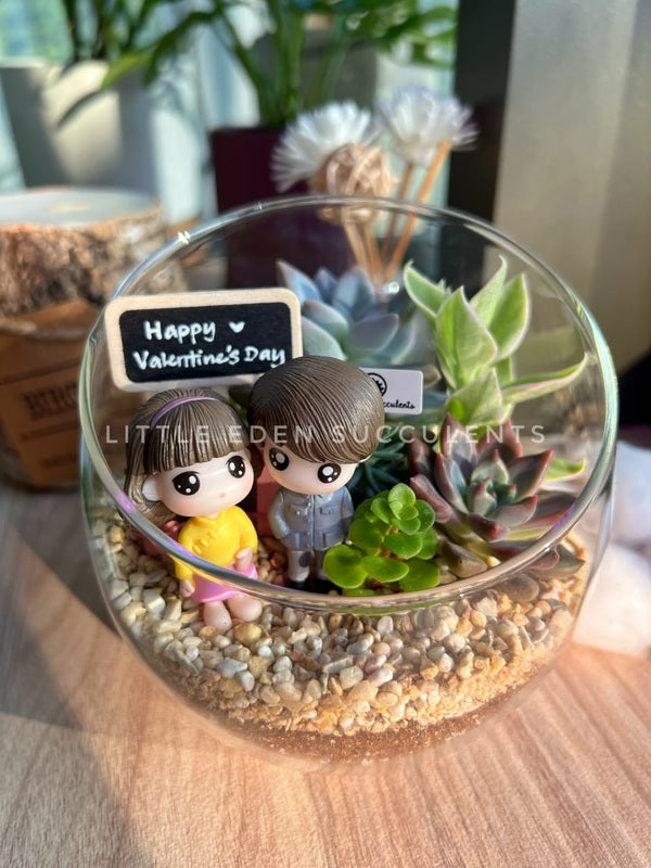 succulent terrarium gift Slanted Glass Succulent Terrarium (L)