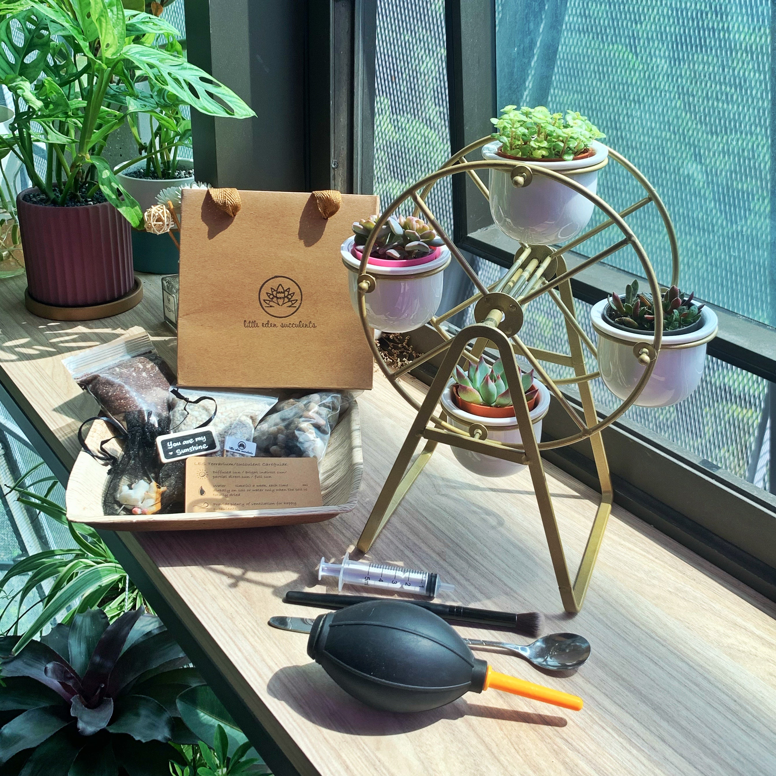 succulent ferris wheel Ferris Wheel DIY Kit