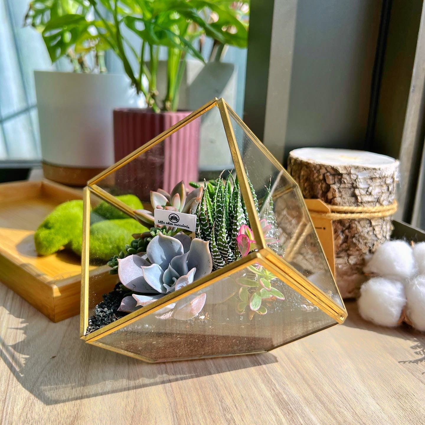 Golden Frame Cubical Terrarium
