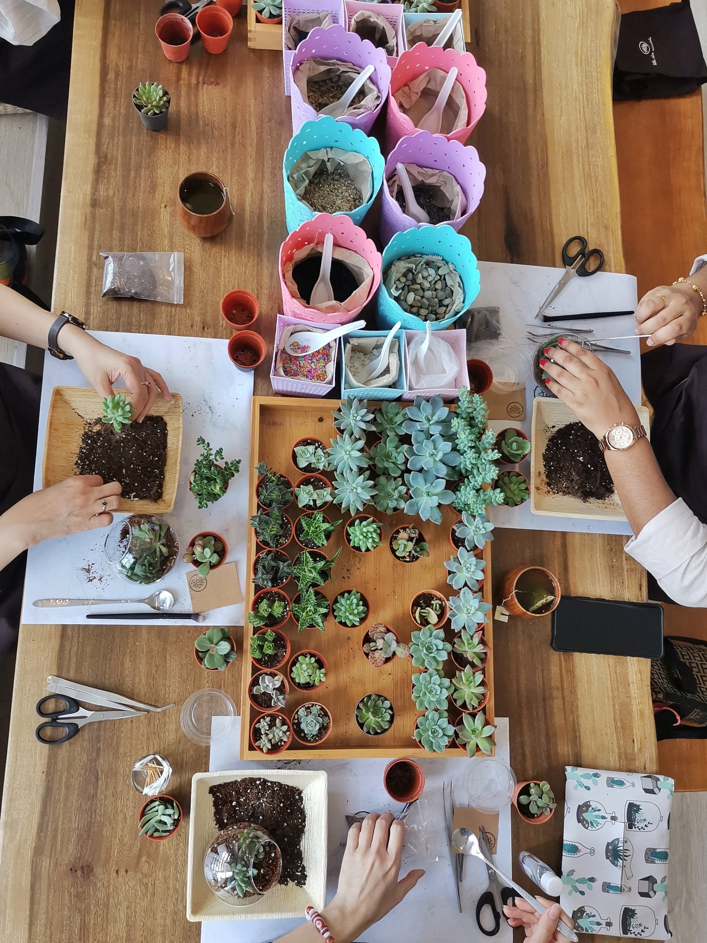 Private Terrarium Workshop (Couple Activities)