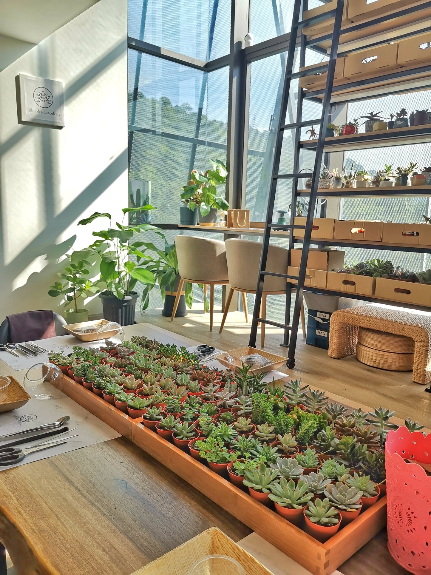 Private Terrarium Workshop (Couple Activities)