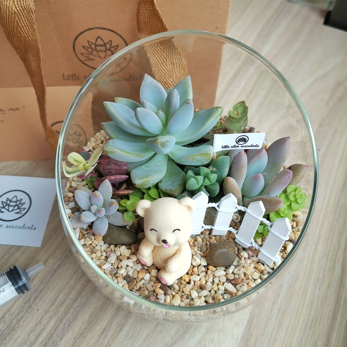 Slanted Glass Succulent Terrarium (L)