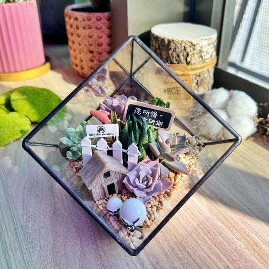 Black Frame Cubical Succulent Terrarium