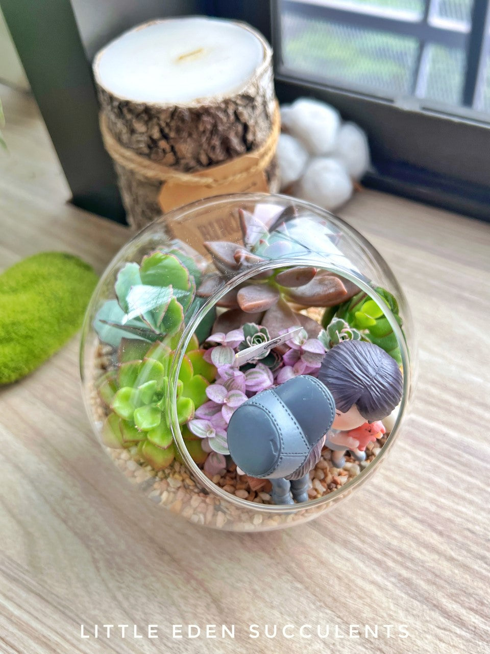 Round Glass Succulent Terrarium (L)