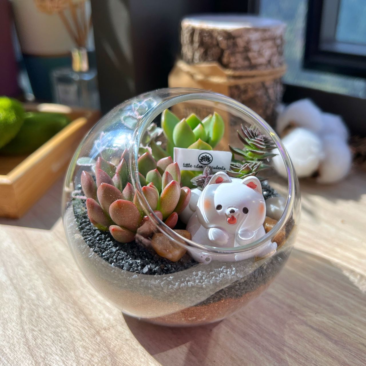 cute succulent terrarium Round Glass Succulent Terrarium