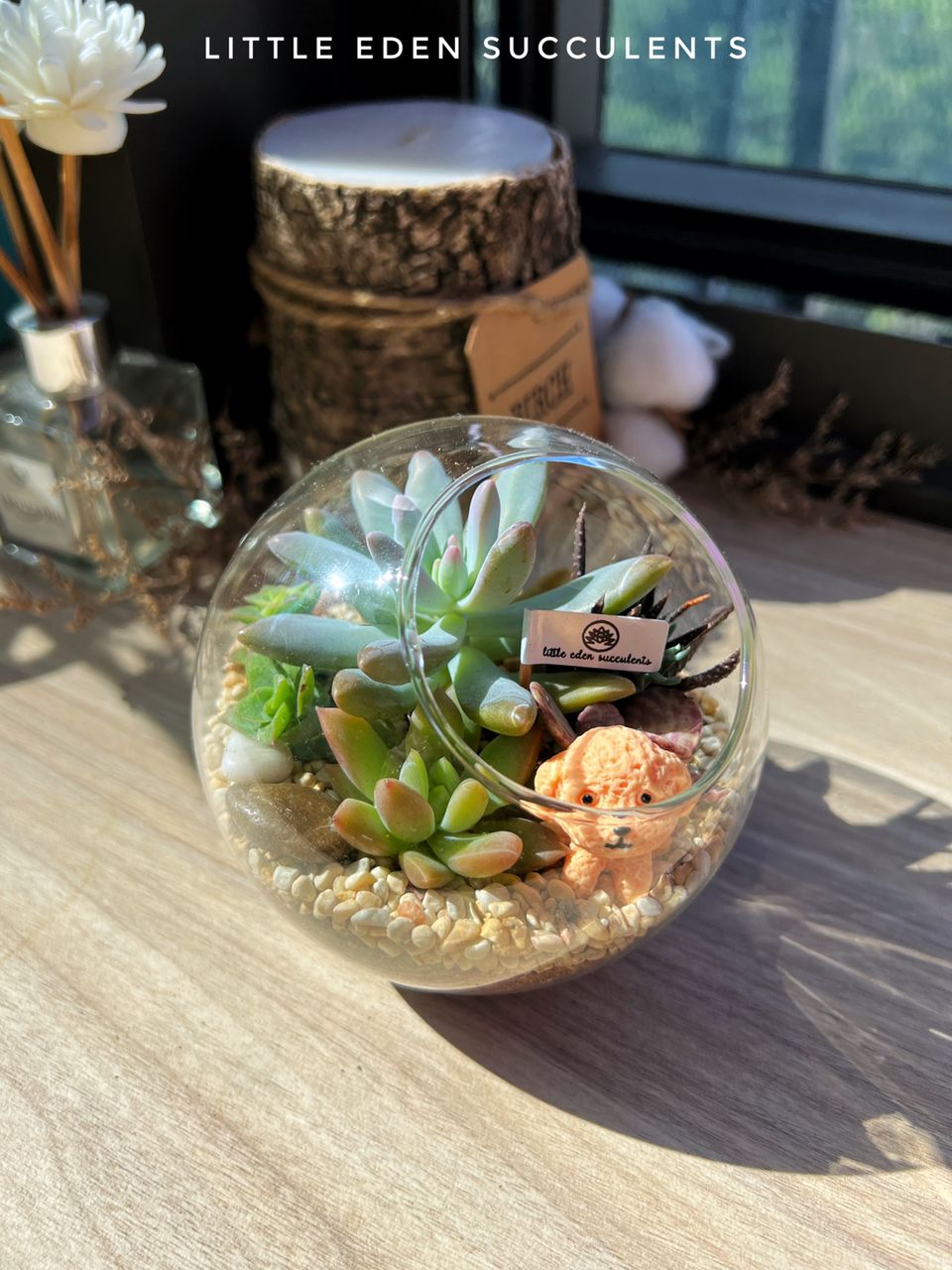Round Glass Succulent Terrarium (M)