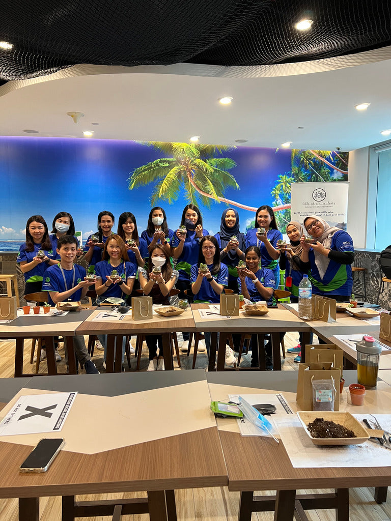 Corporate Team Building Activities- Terrarium Workshop