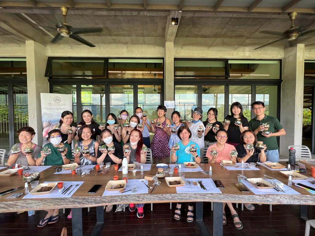 Corporate Team Building Activities- Terrarium Workshop