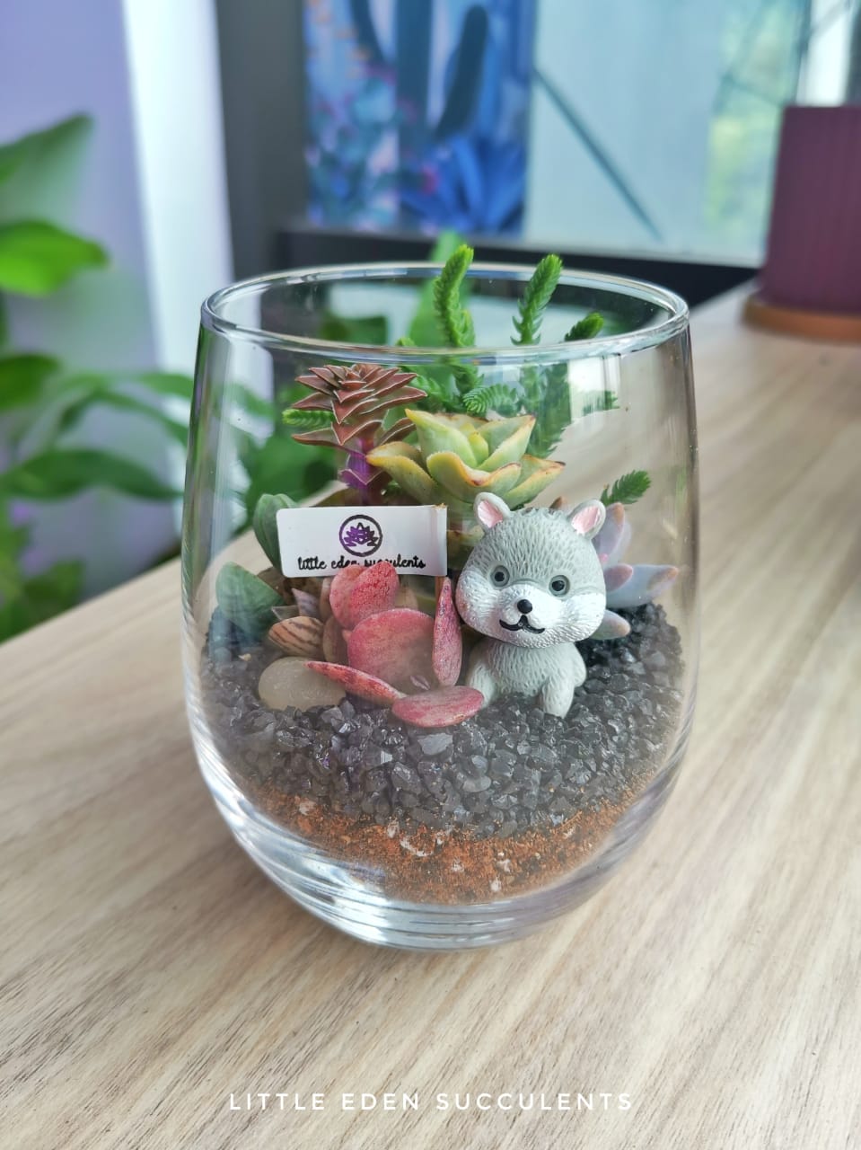 Tall Glass Succulent Terrarium (S) DIY Kit