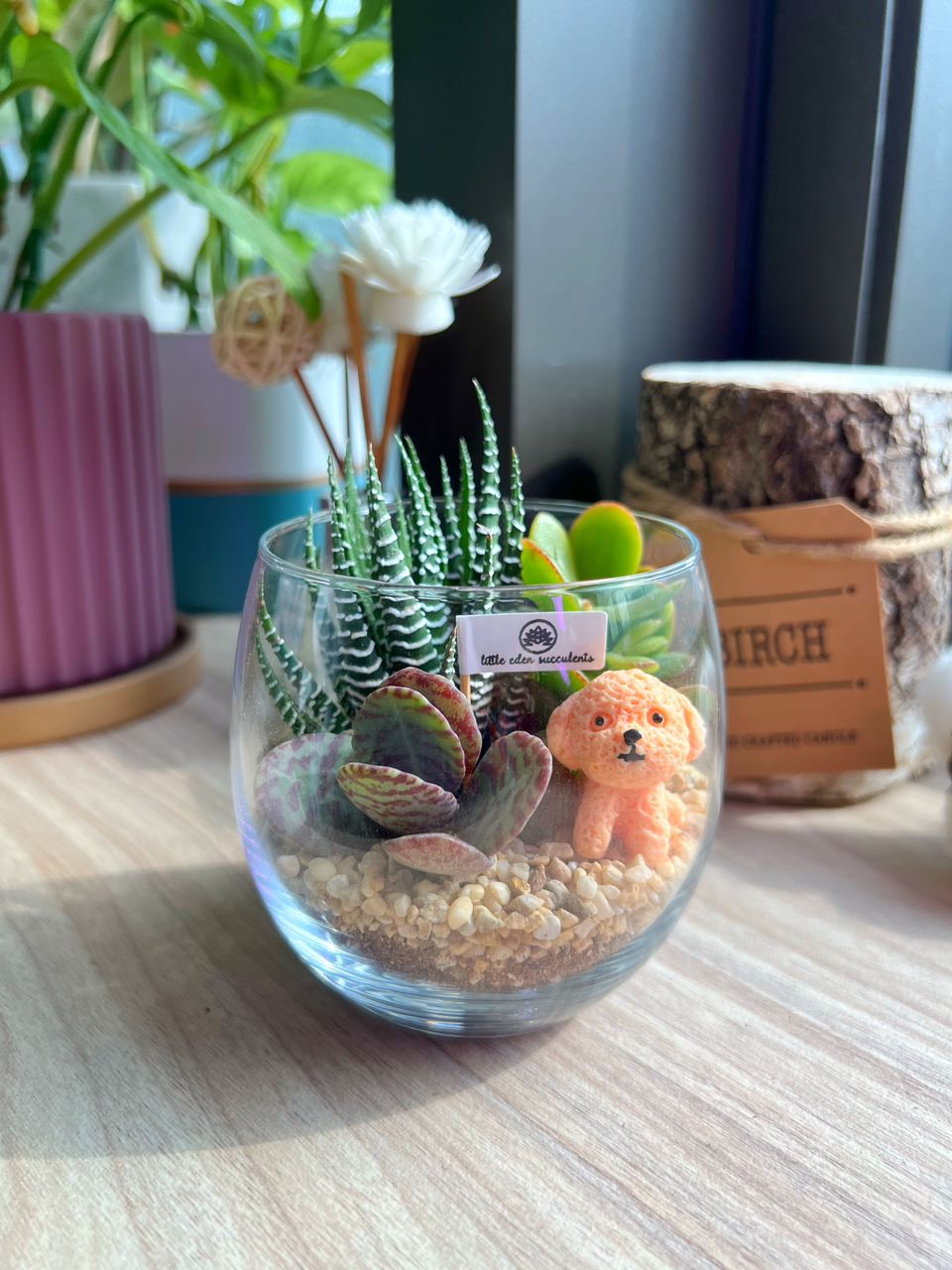 Tall Glass Succulent Terrarium (S) DIY Kit