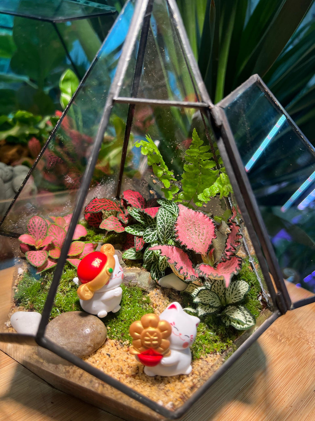 Terrarium Plants That Thrive Indoors in Malaysia