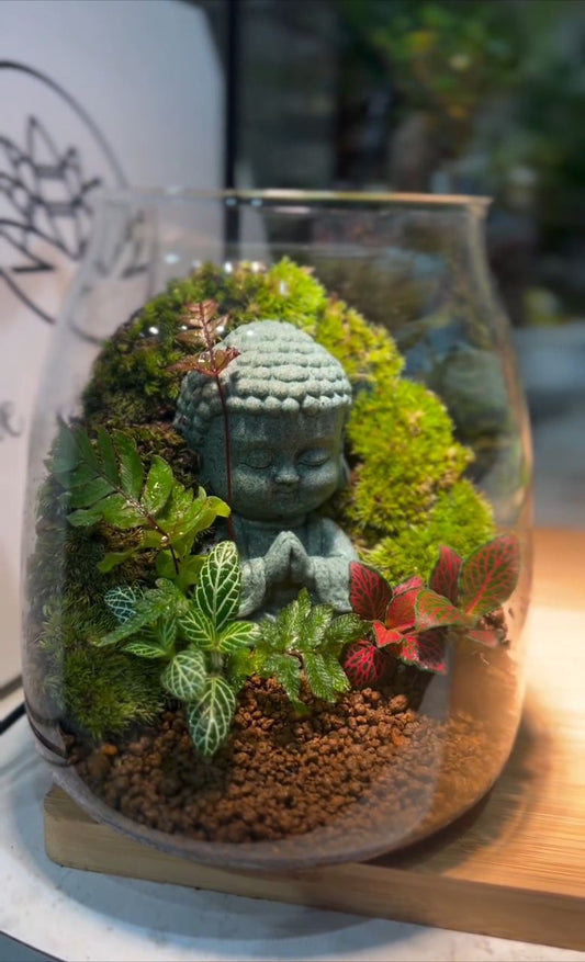 A Calming Moss Terrarium