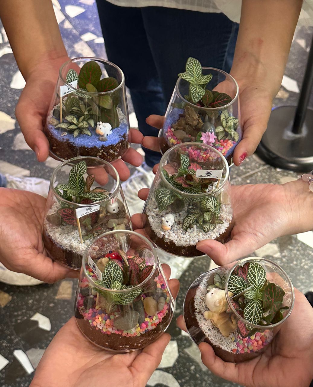 Beginner Terrarium Workshop in Kuala Lumpur