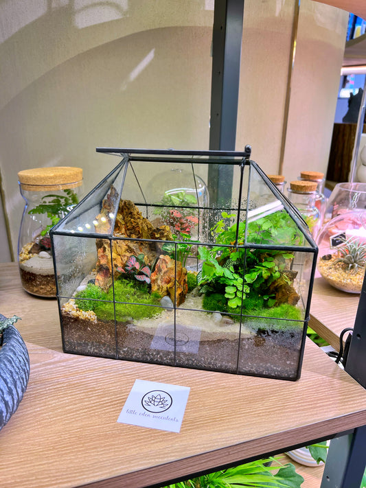 Tips for successful close terrarium design