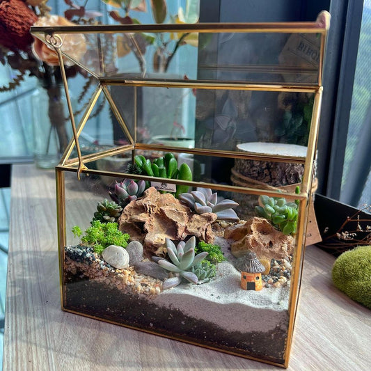 House Terrarium