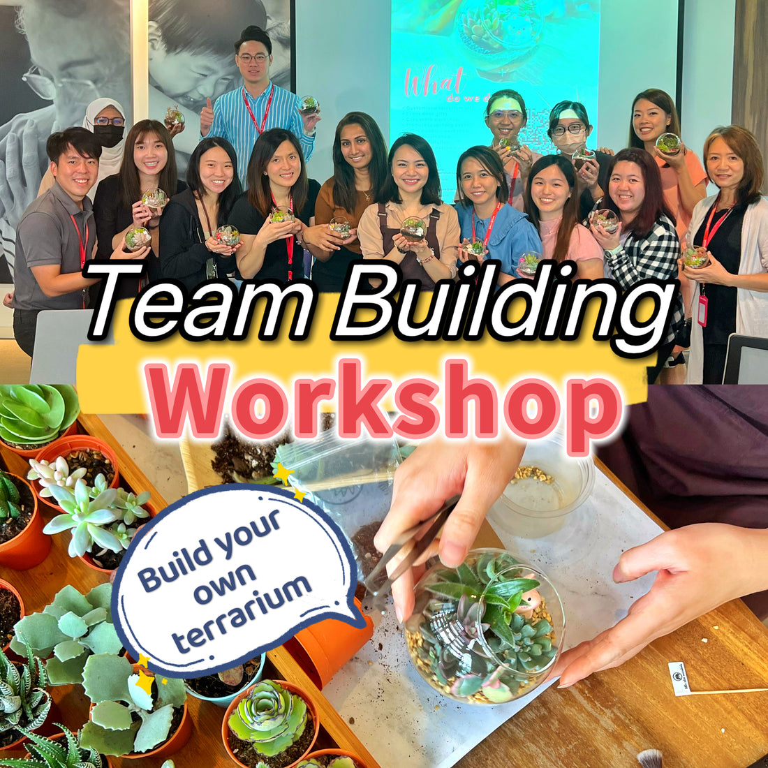 Improving Communication: Team Building Activity Meets Terrarium Making Workshop