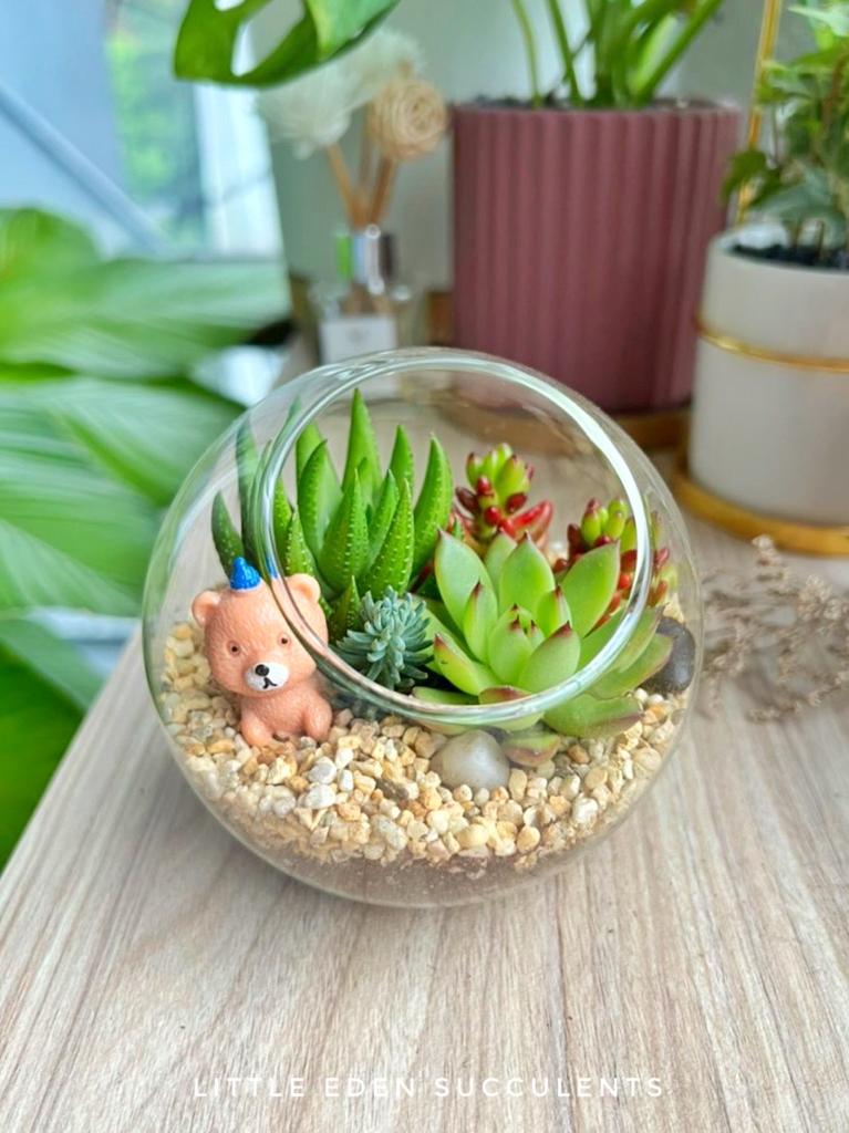 What's the proportion of making a terrarium?