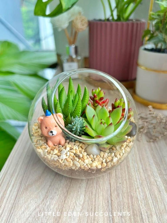 What's the proportion of making a terrarium?