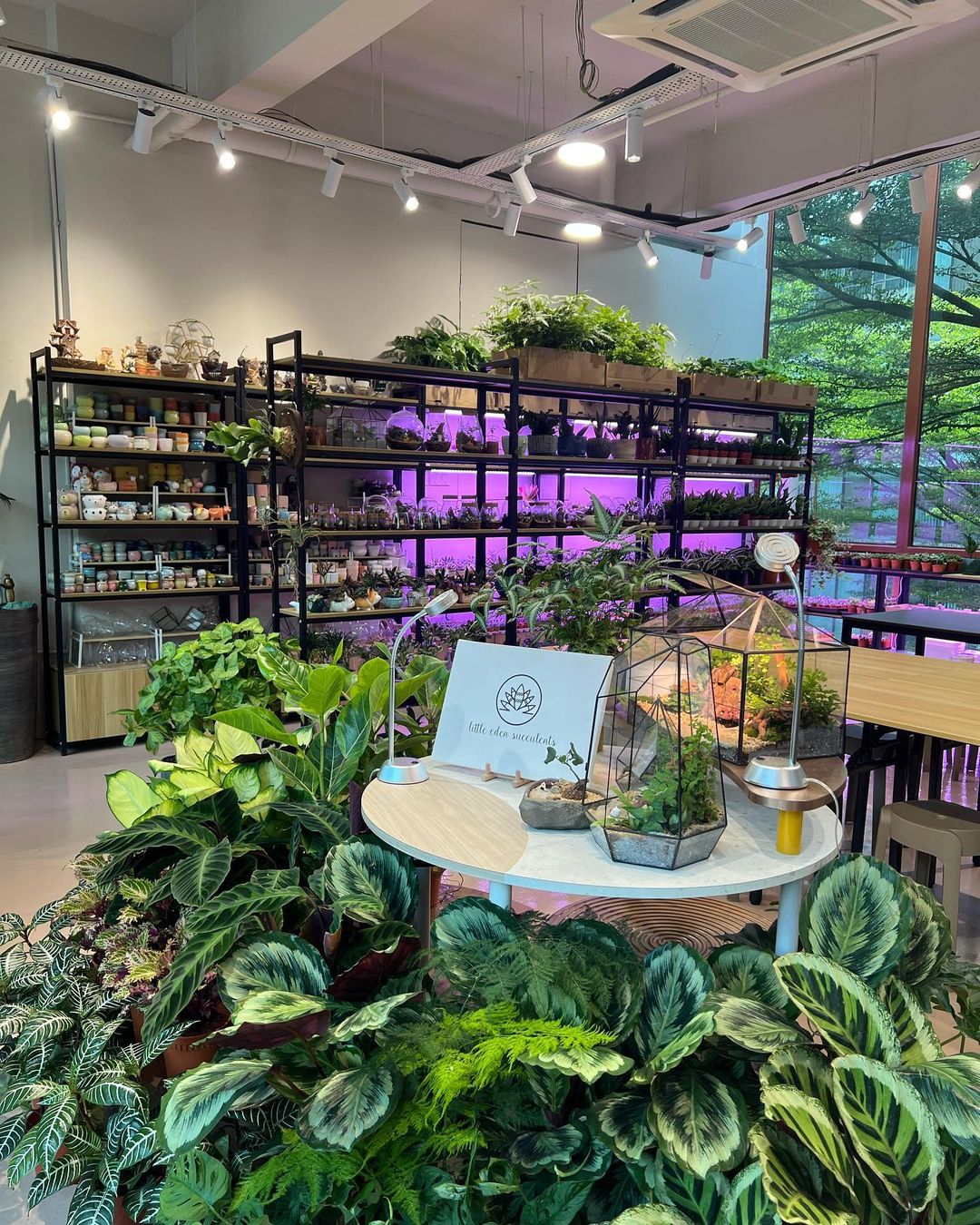 Discover the Perfect Event Space in Petaling Jaya: Host Your Next Event at Our Plant Shop