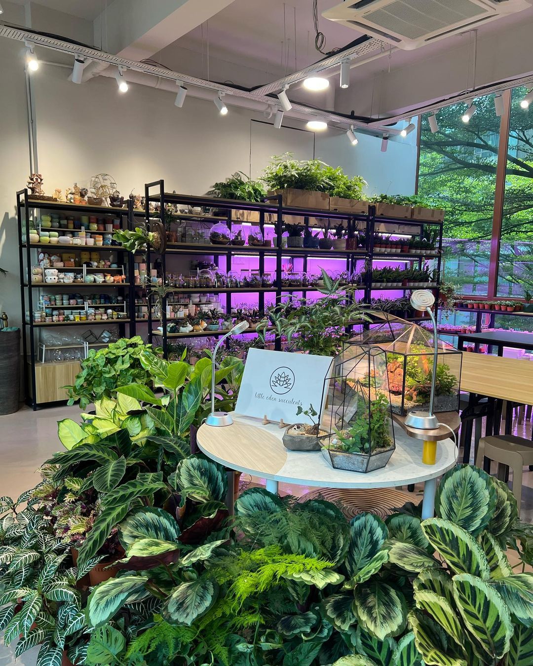 Plant shop in PJ