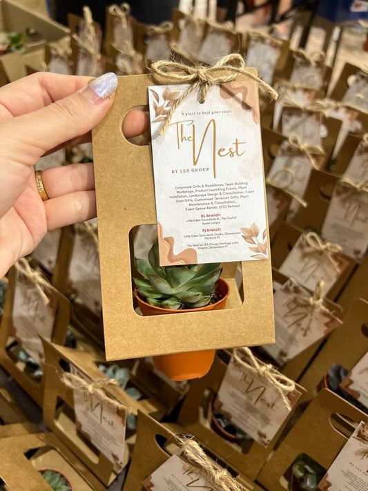 Why Succulents Make the Perfect Door Gifts for Any Event in Kuala Lumpur