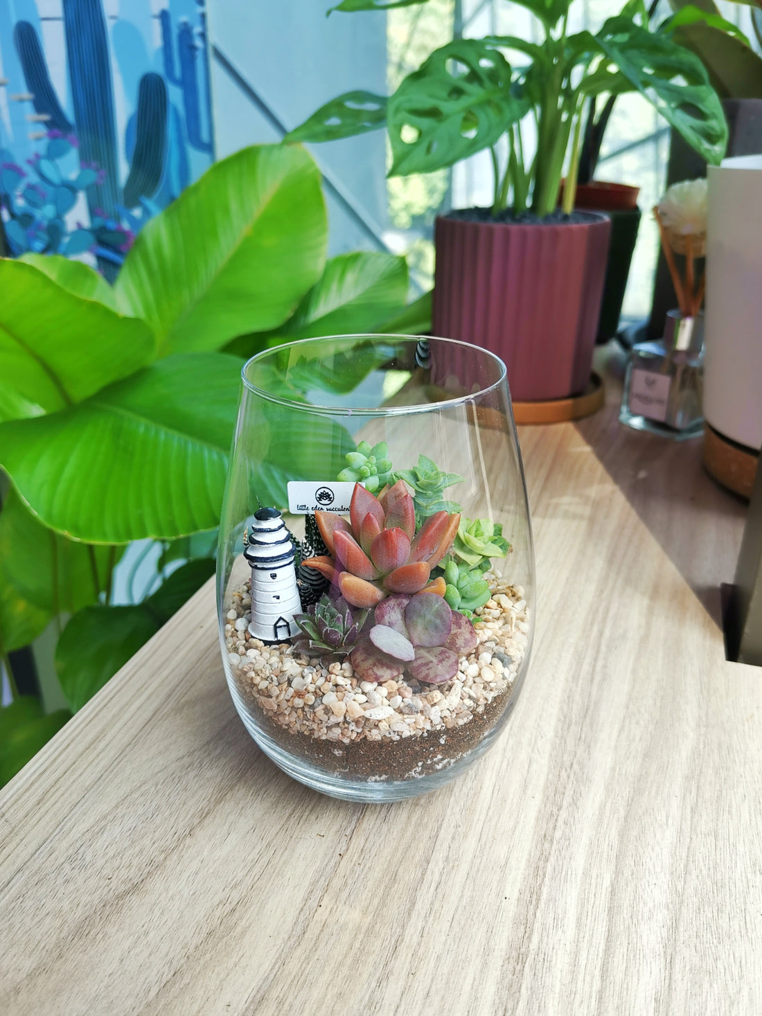 Can we plant moss in a terrarium with succulents?