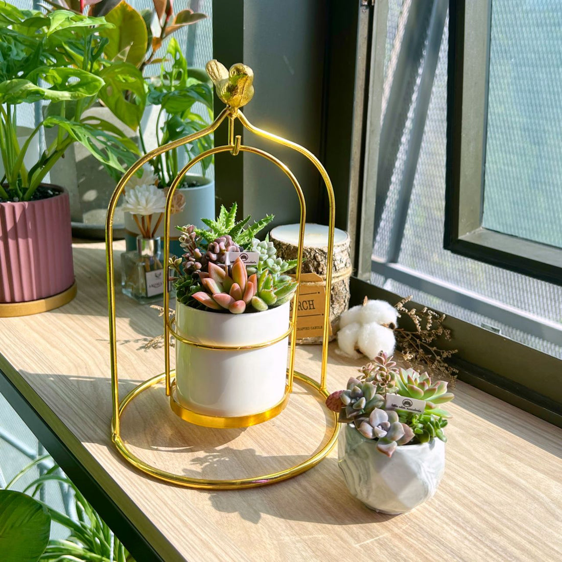 How long can a succulent arrangement stays in the original pot like this?