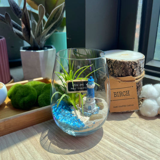 How to water air plants in a glass container- The Soaking Method