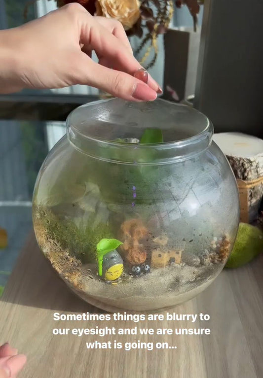 Enclosed terrarium