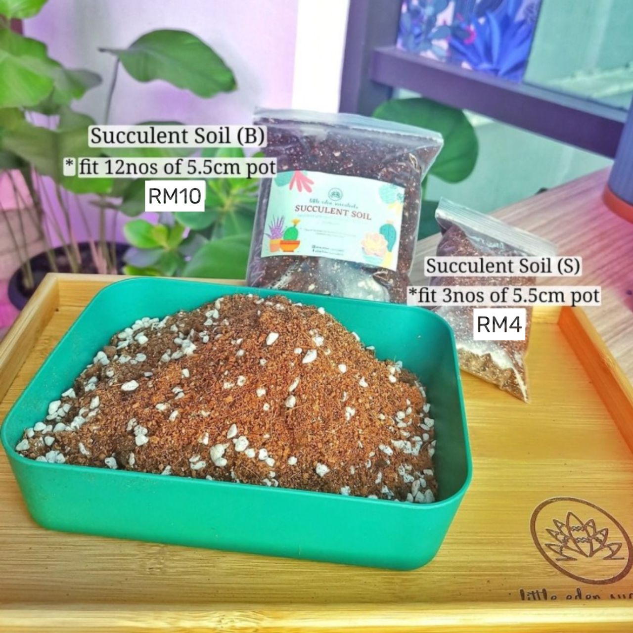 Using the Right Soil for Succulents: A Guide to Optimal Growth