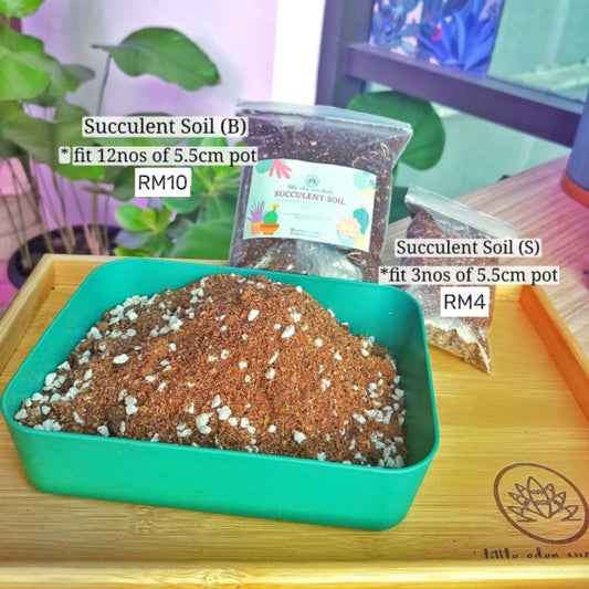 Succulent Soil