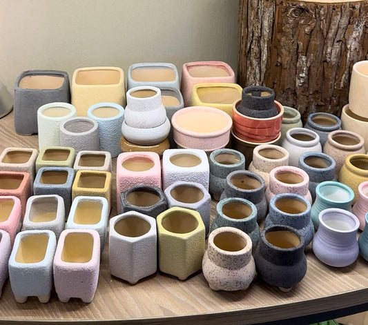 Pots for succulents