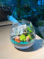 Wine Glass Succulent Terrarium Workshop