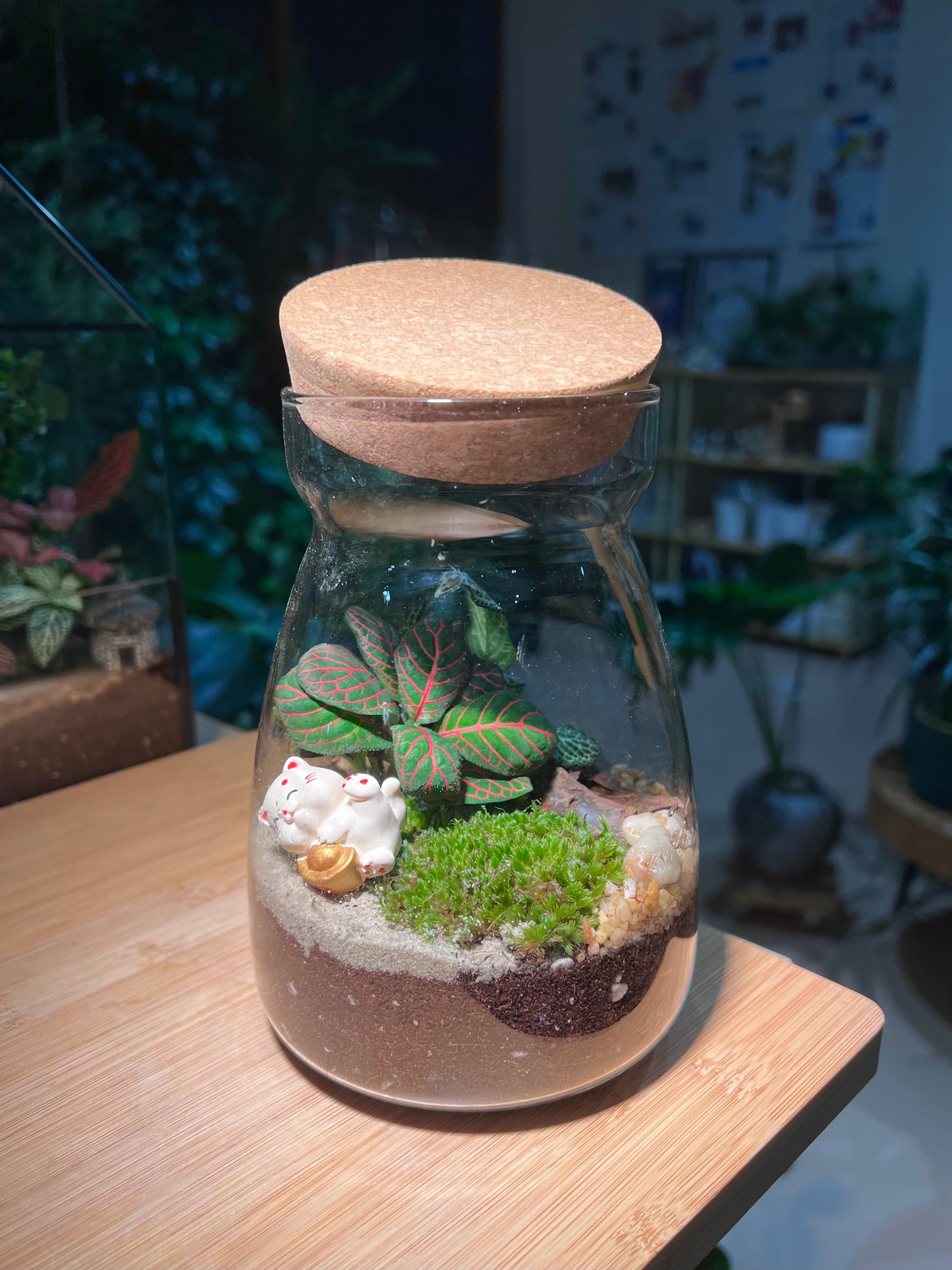 Fittonia with Moss Arrangement in Cover A Line Jar Glass Terrarium