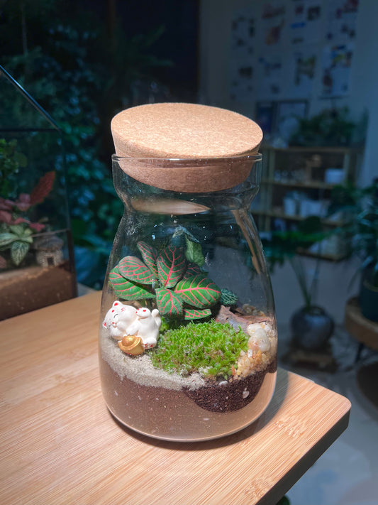 CNY Theme - Fittonia with Moss Arrangement in Cover A Line Jar Glass