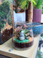 Indoor Plant Terrarium in Fuji Glass